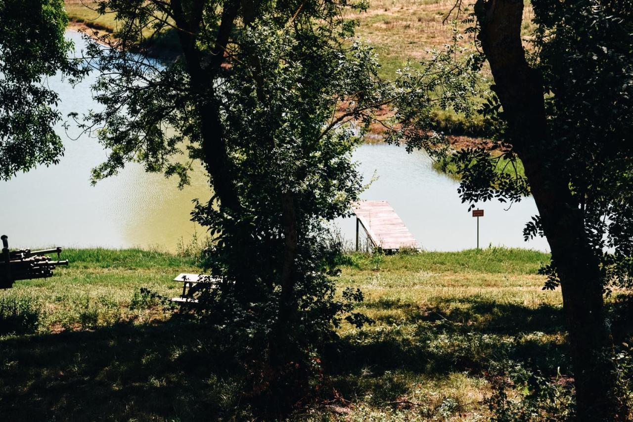 Cocoon, bord de lac, piscine chauffée 11 per Plieux Extérieur photo
